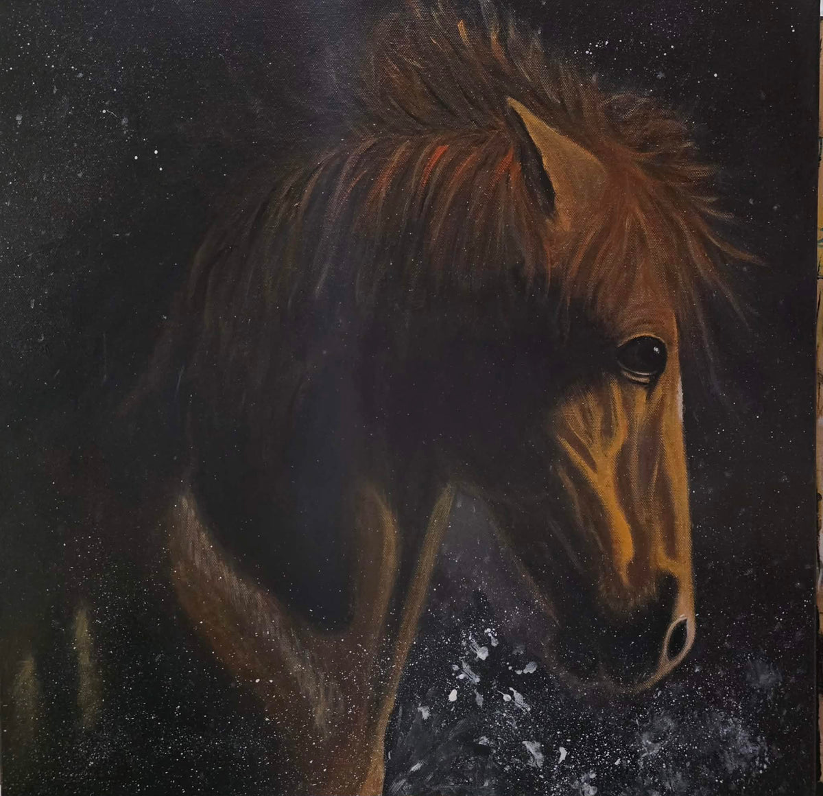 Original oil painting of a bay horse emerging from a dark, star-dusted background, framed in a floating frame