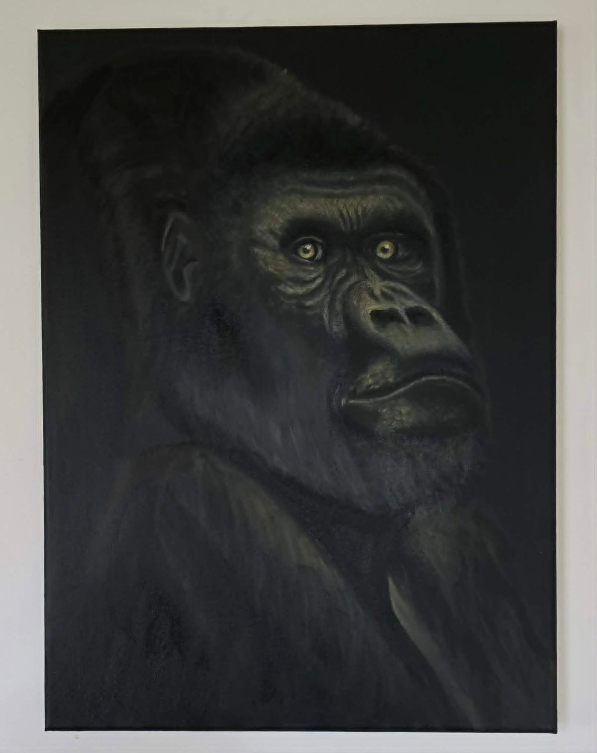Original oil painting of a gorilla gazing upward against a deep black background, painted on stretched canvas
