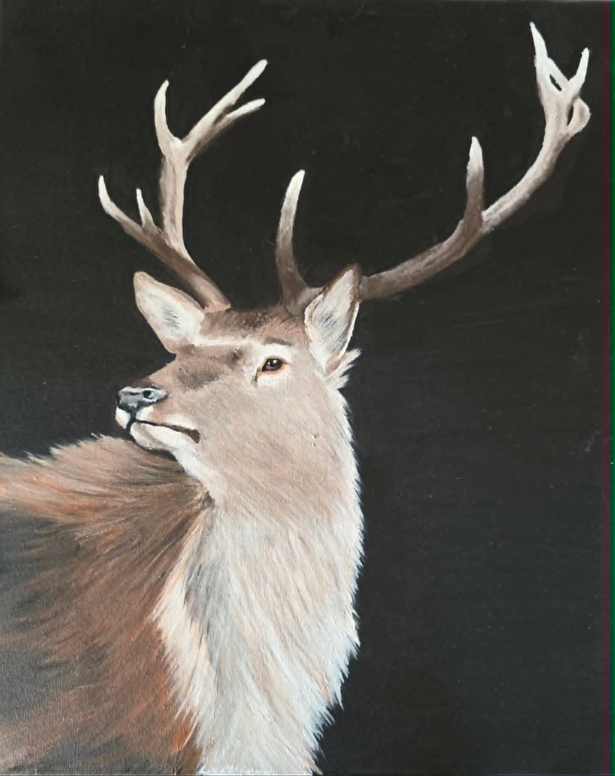 Original acrylic painting of a red deer stag with antlers raised against a dark background, painted on stretched canvas
